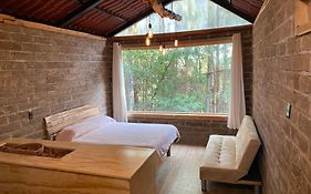 Cabana En El Bosque